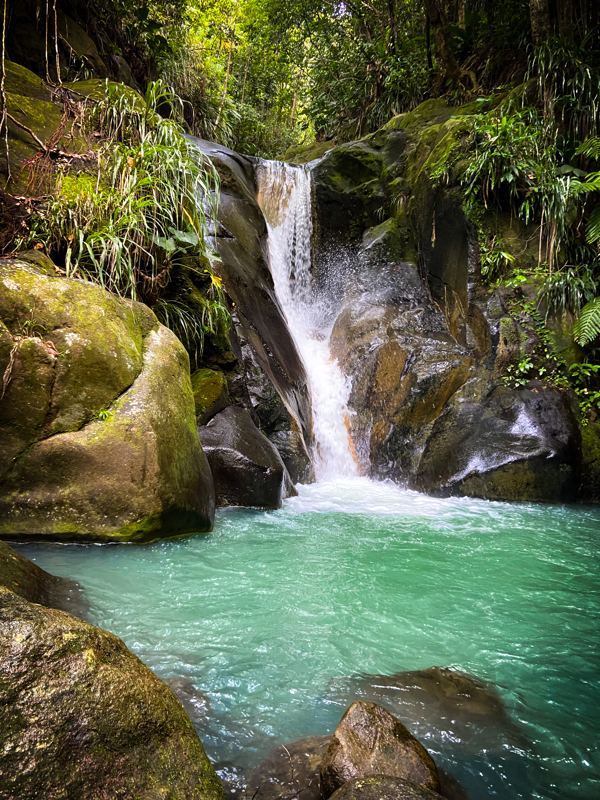 Cascade et bassin en forêt tropicale